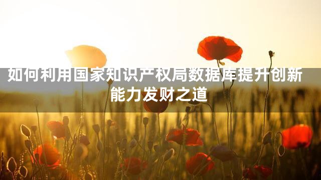 如何利用国家知识产权局数据库提升创新能力发财之道