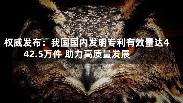 权威发布：我国国内发明专利有效量达442.5万件 助力高质量发展