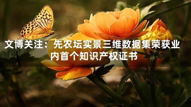 文博关注：先农坛实景三维数据集荣获业内首个知识产权证书