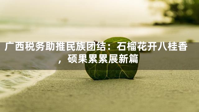 广西税务助推民族团结：石榴花开八桂香，硕果累累展新篇