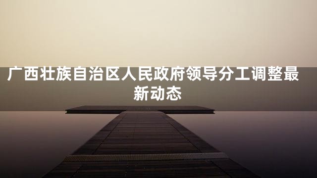 广西壮族自治区人民政府领导分工调整最新动态