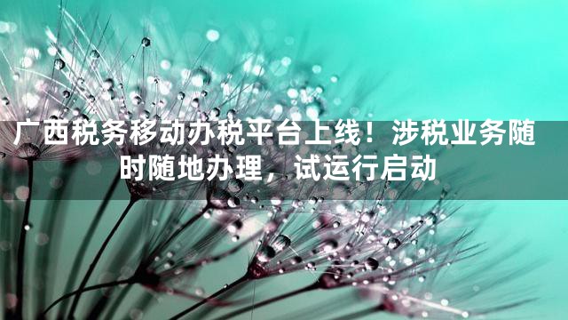 广西税务移动办税平台上线！涉税业务随时随地办理，试运行启动