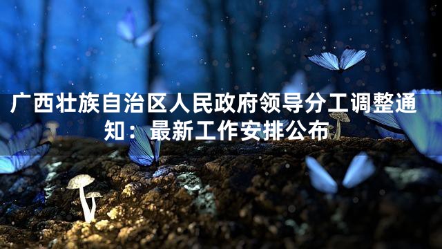 广西壮族自治区人民政府领导分工调整通知：最新工作安排公布