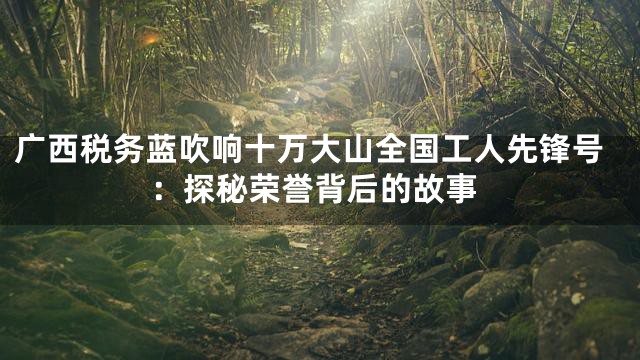 广西税务蓝吹响十万大山全国工人先锋号：探秘荣誉背后的故事