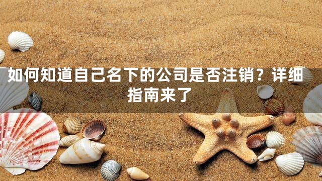 如何知道自己名下的公司是否注销？详细指南来了