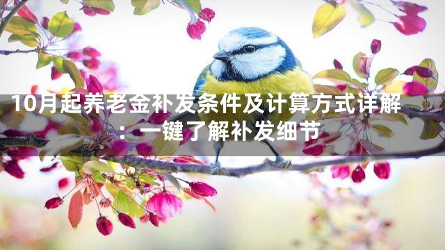 10月起养老金补发条件及计算方式详解：一键了解补发细节