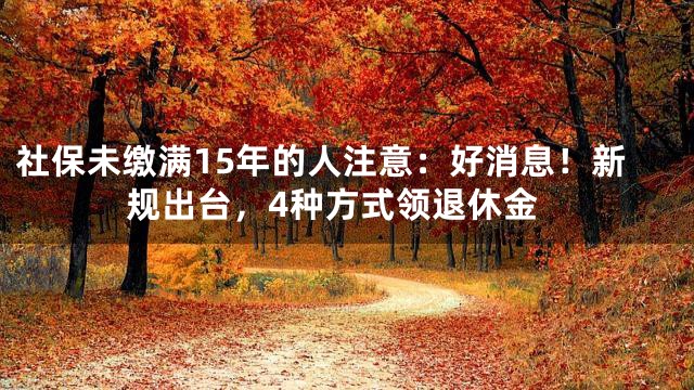 社保未缴满15年的人注意：好消息！新规出台，4种方式领退休金