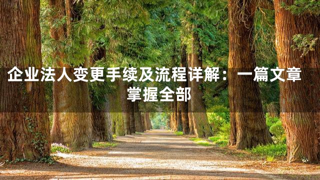 企业法人变更手续及流程详解：一篇文章掌握全部