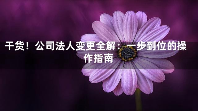 干货！公司法人变更全解：一步到位的操作指南