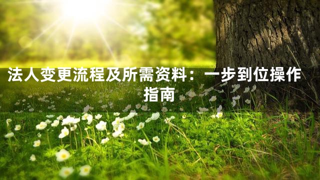 法人变更流程及所需资料：一步到位操作指南