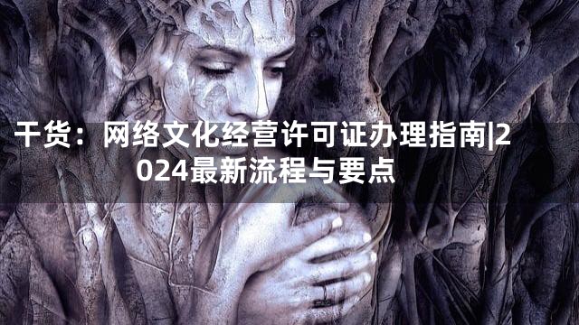 干货：网络文化经营许可证办理指南|2024最新流程与要点