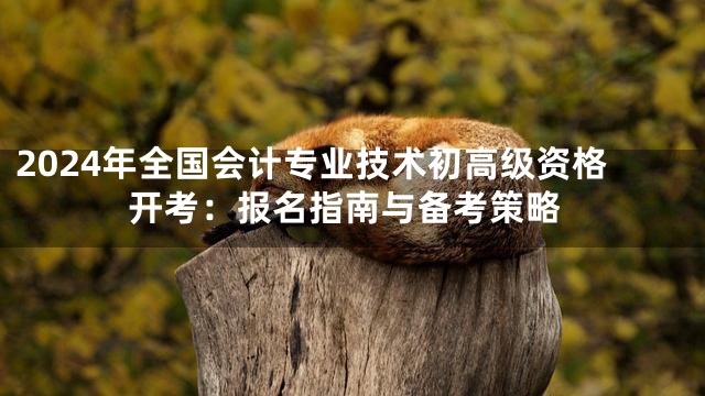 2024年全国会计专业技术初高级资格开考：报名指南与备考策略