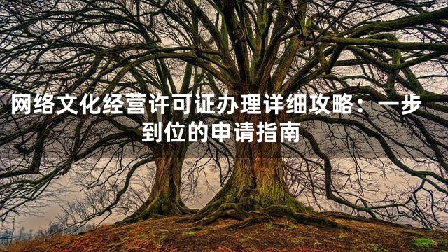 网络文化经营许可证办理详细攻略：一步到位的申请指南