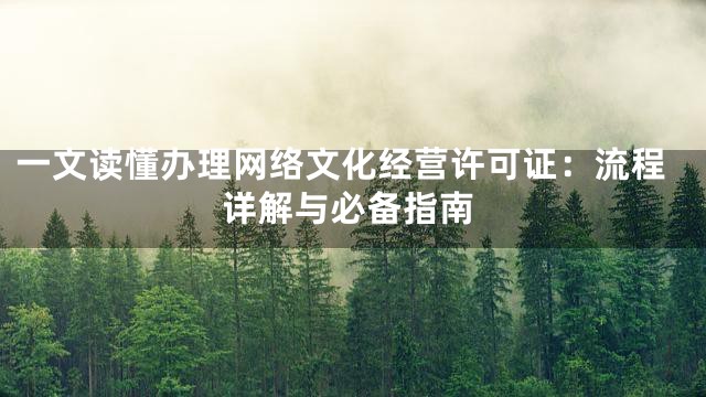 一文读懂办理网络文化经营许可证：流程详解与必备指南