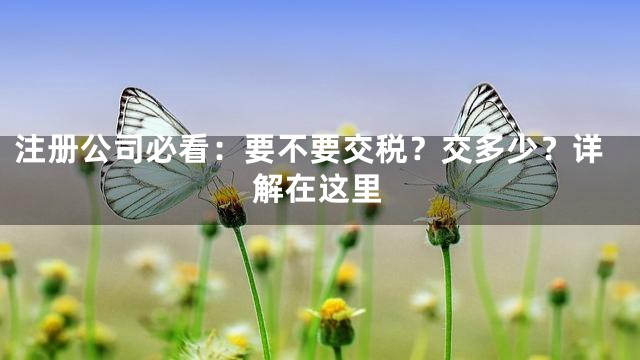 注册公司必看：要不要交税？交多少？详解在这里
