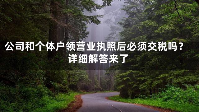 公司和个体户领营业执照后必须交税吗？详细解答来了