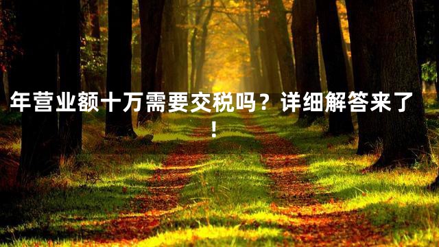 年营业额十万需要交税吗？详细解答来了！