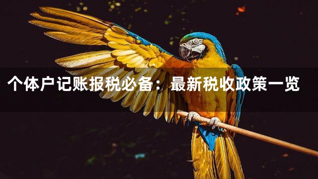 个体户记账报税必备：最新税收政策一览
