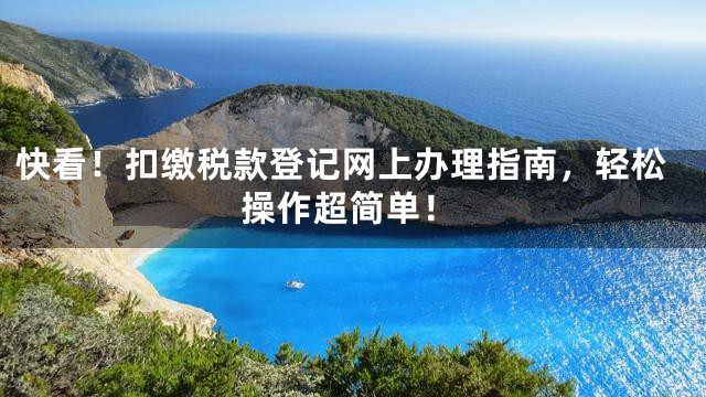 快看！扣缴税款登记网上办理指南，轻松操作超简单！