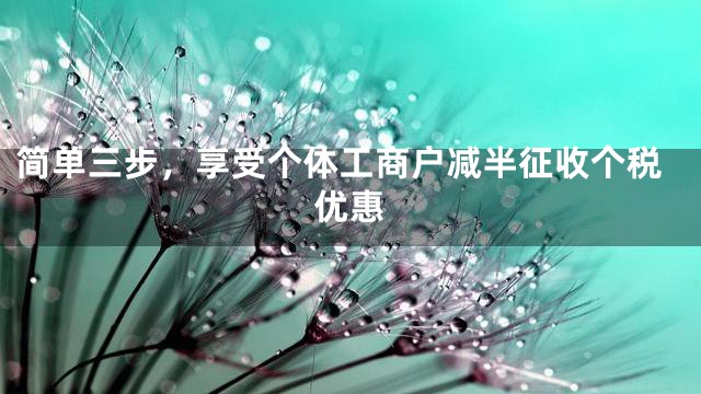 简单三步，享受个体工商户减半征收个税优惠
