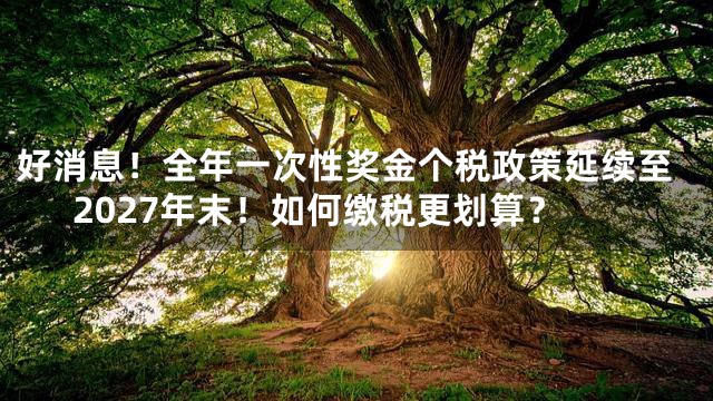 好消息！全年一次性奖金个税政策延续至2027年末！如何缴税更划算？