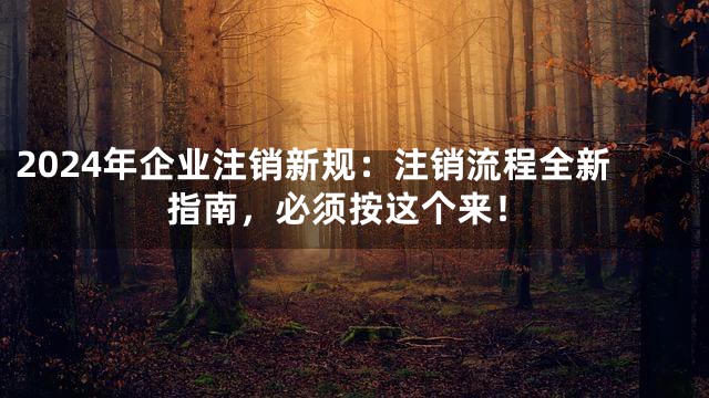 2024年企业注销新规：注销流程全新指南，必须按这个来！