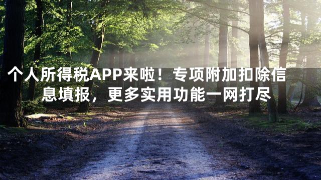 个人所得税APP来啦！专项附加扣除信息填报，更多实用功能一网打尽