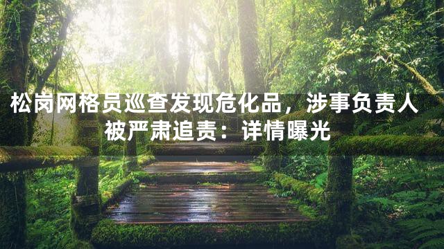 松岗网格员巡查发现危化品，涉事负责人被严肃追责：详情曝光