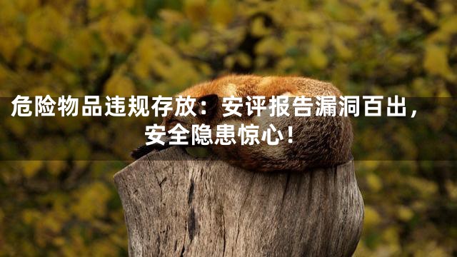 危险物品违规存放：安评报告漏洞百出，安全隐患惊心！