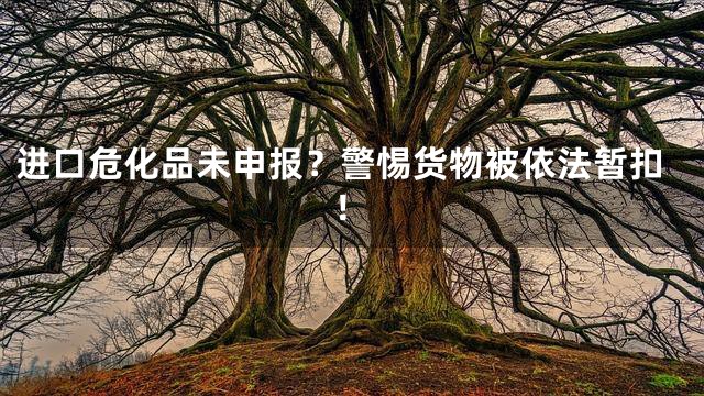 进口危化品未申报？警惕货物被依法暂扣！