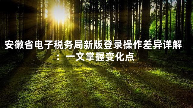 安徽省电子税务局新版登录操作差异详解：一文掌握变化点