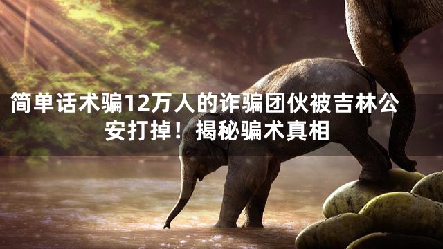 简单话术骗12万人的诈骗团伙被吉林公安打掉！揭秘骗术真相