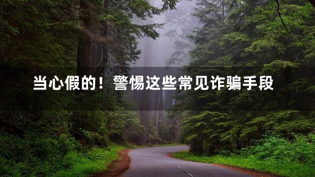 当心假的！警惕这些常见诈骗手段