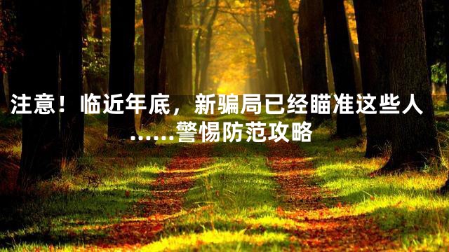 注意！临近年底，新骗局已经瞄准这些人……警惕防范攻略