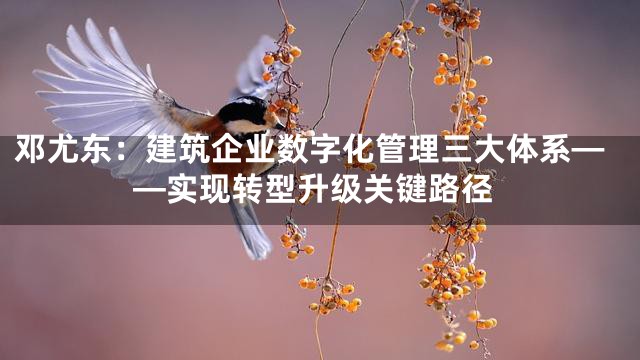 邓尤东：建筑企业数字化管理三大体系——实现转型升级关键路径