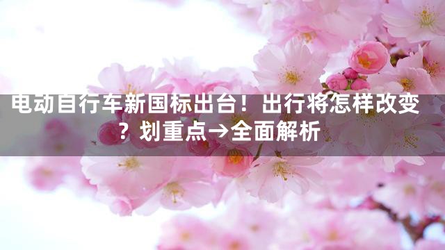 电动自行车新国标出台！出行将怎样改变？划重点→全面解析