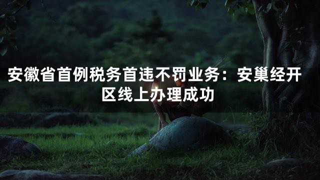 安徽省首例税务首违不罚业务：安巢经开区线上办理成功