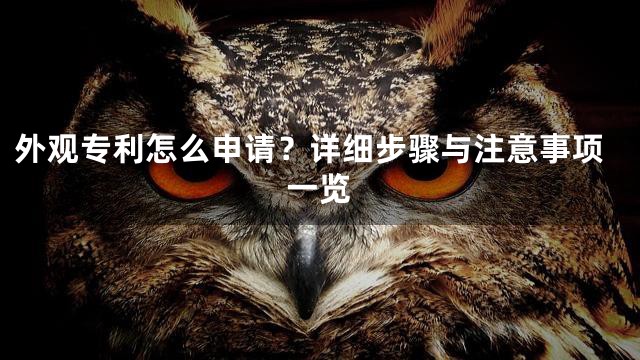 外观专利怎么申请？详细步骤与注意事项一览