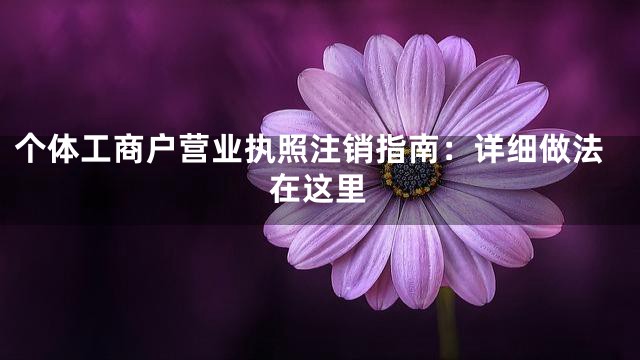 个体工商户营业执照注销指南：详细做法在这里