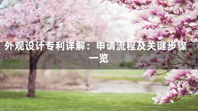 外观设计专利详解：申请流程及关键步骤一览