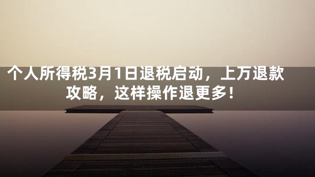 个人所得税3月1日退税启动，上万退款攻略，这样操作退更多！