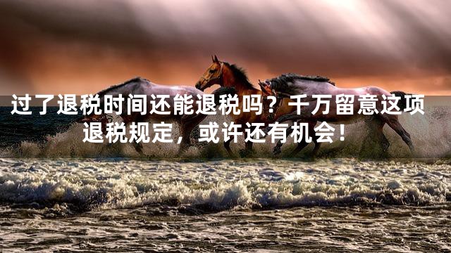过了退税时间还能退税吗？千万留意这项退税规定，或许还有机会！