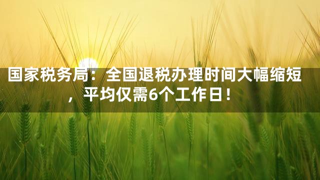 国家税务局：全国退税办理时间大幅缩短，平均仅需6个工作日！