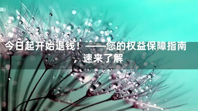 今日起开始退钱！——您的权益保障指南，速来了解