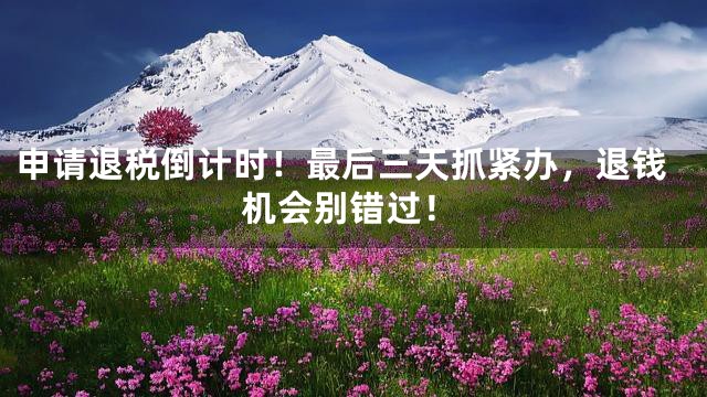 申请退税倒计时！最后三天抓紧办，退钱机会别错过！