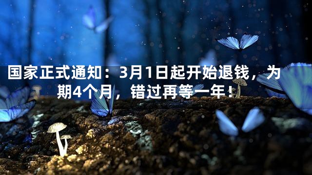 国家正式通知：3月1日起开始退钱，为期4个月，错过再等一年！