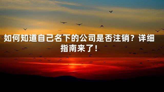 如何知道自己名下的公司是否注销？详细指南来了！