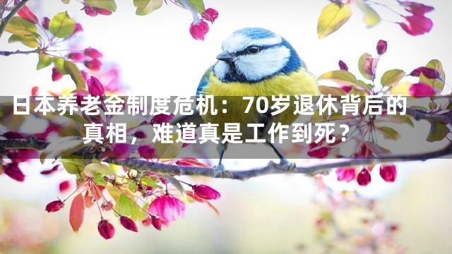 日本养老金制度危机：70岁退休背后的真相，难道真是工作到死？