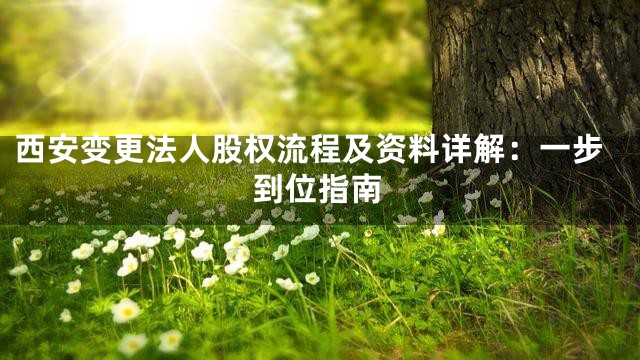 西安变更法人股权流程及资料详解：一步到位指南