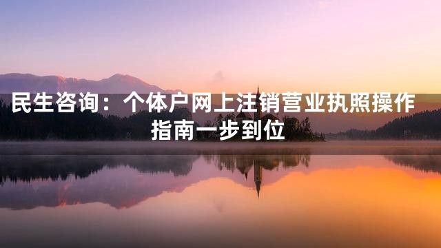 民生咨询：个体户网上注销营业执照操作指南一步到位